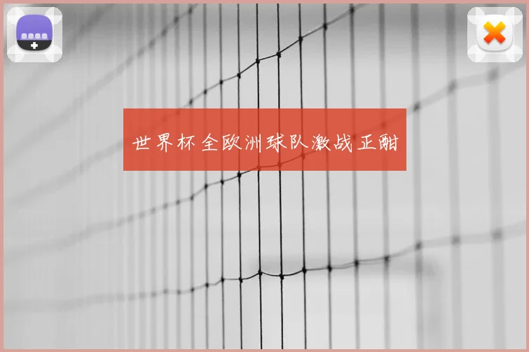 世界杯全欧洲球队激战正酣