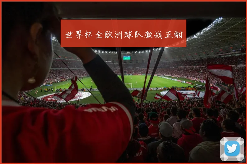 世界杯全欧洲球队激战正酣