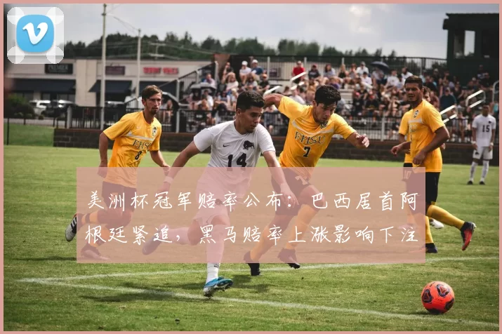 美洲杯冠军赔率公布:巴西居首阿根廷紧追,黑马赔率上涨影响下注策略