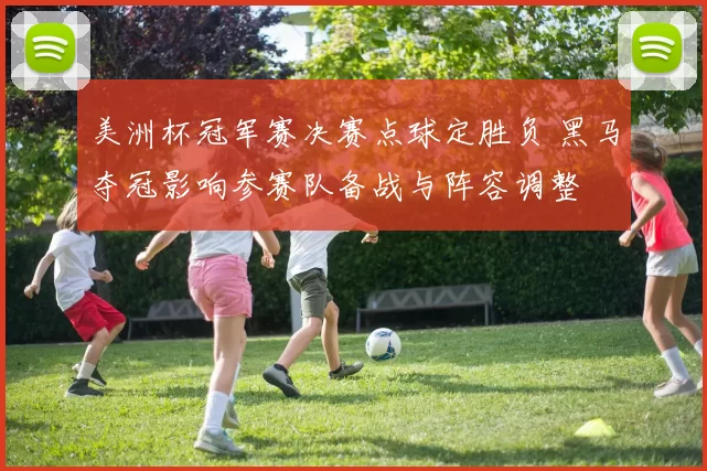 美洲杯冠军赛决赛点球定胜负 黑马夺冠影响参赛队备战与阵容调整