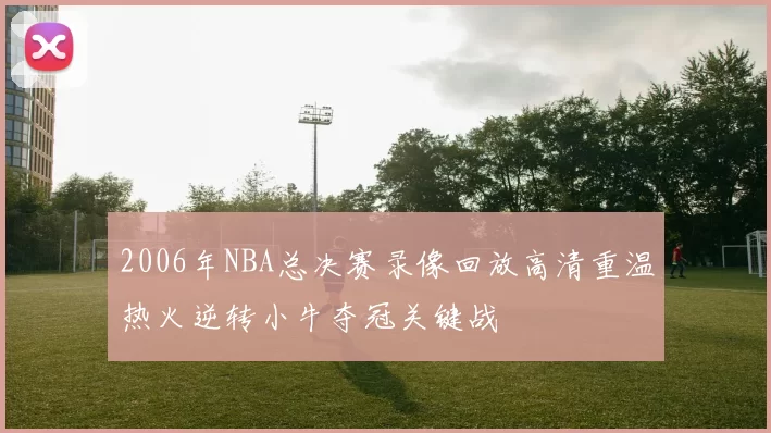 2006年NBA总决赛录像回放高清重温热火逆转小牛夺冠关键战